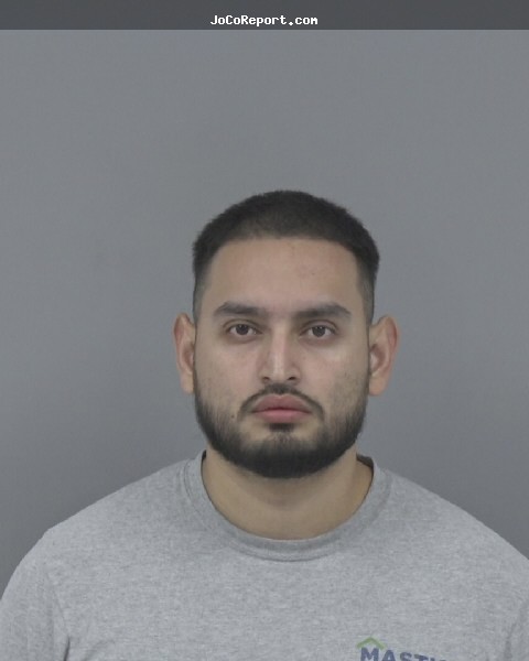 FREDY HENRIQUEZ-AMAYA